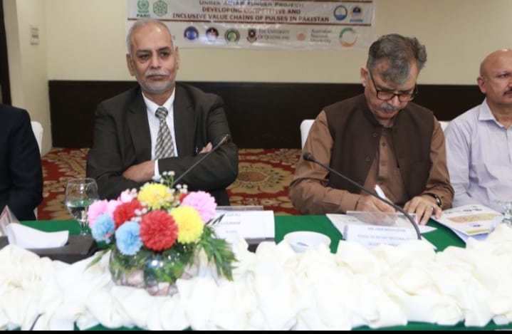 ACIAR launches Pakistan’s first Pulses Industry development strategy