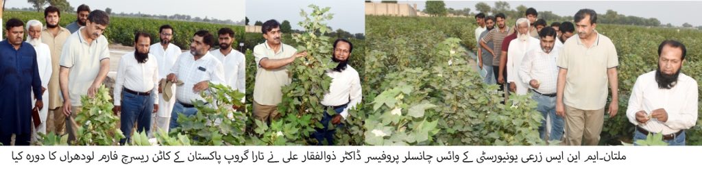 کپاس کی بحالی اور جدید تحقیق کے لیے ایم این ایس زرعی یونیورسٹی اور تارا گروپ کا تعاون