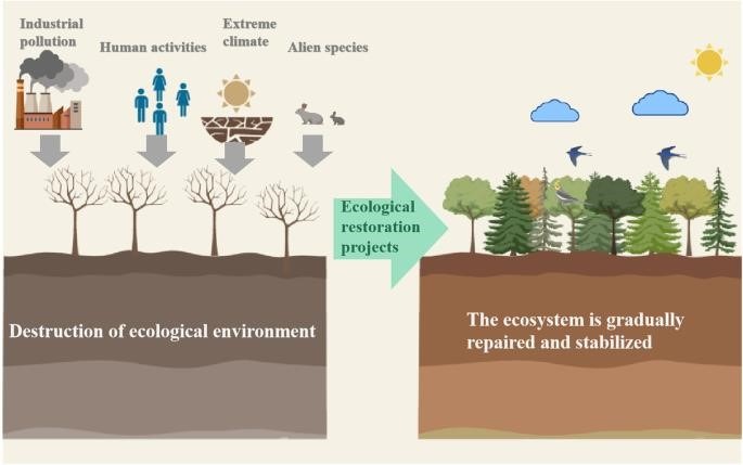 Restoring Model Ecosystems: Urgent Measures for a Resilient Future