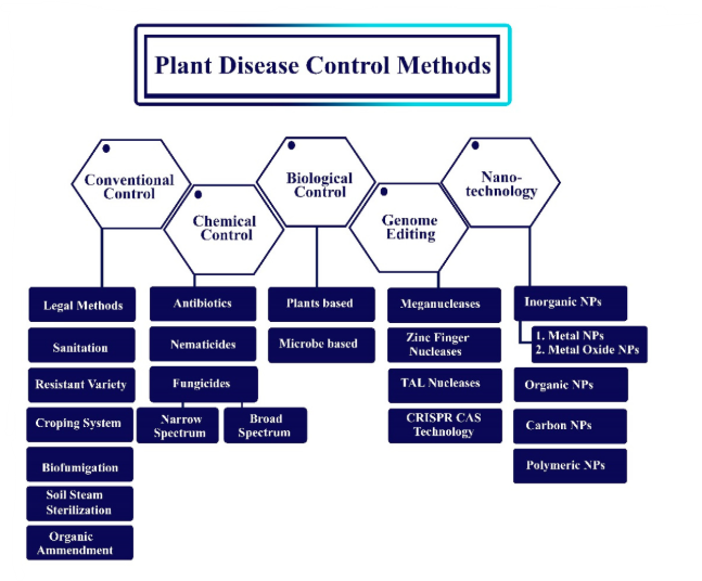 Role of Nanotechnology in Plant Protection