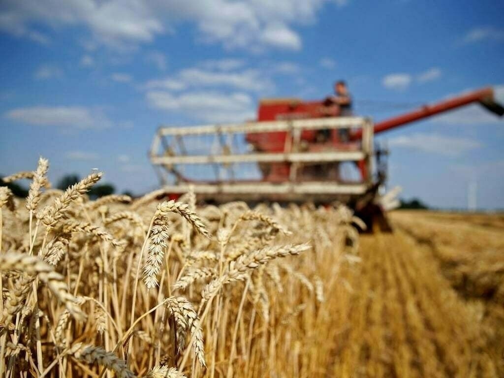 Grow More Wheat Campaign 2025–26’ Gains Momentum Across South Punjab