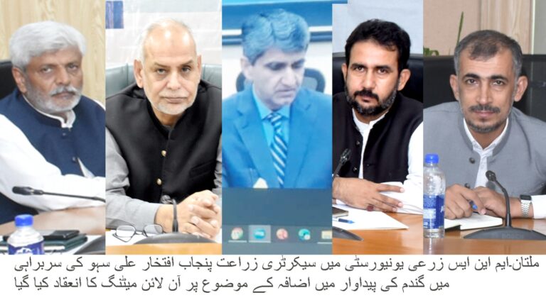 گندم کی پیداوار بڑھانے کے لیے پنجاب میں آگاہی مہم کا آغاز