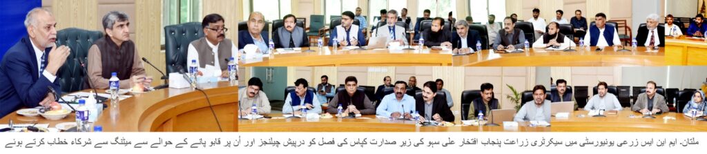 پنجاب میں کپاس کی بحالی کے لیے عملی اقدامات تیز