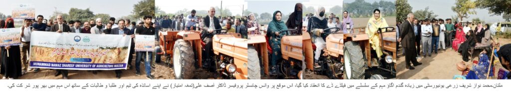 ایم این ایس زرعی یونیورسٹی میں “زیادہ گندم اُگائیں” مہم کا باقاعدہ آغاز