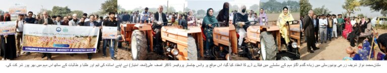 ایم این ایس زرعی یونیورسٹی میں “زیادہ گندم اُگائیں” مہم کا باقاعدہ آغاز