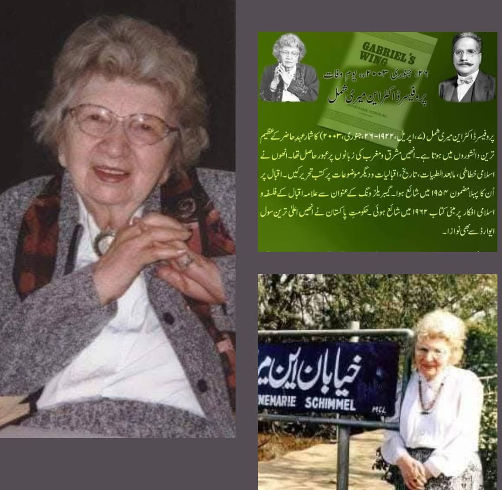 “این میری شمل, مغرب میں اسلام اور فکرِ اقبالؒ کی سفیر”