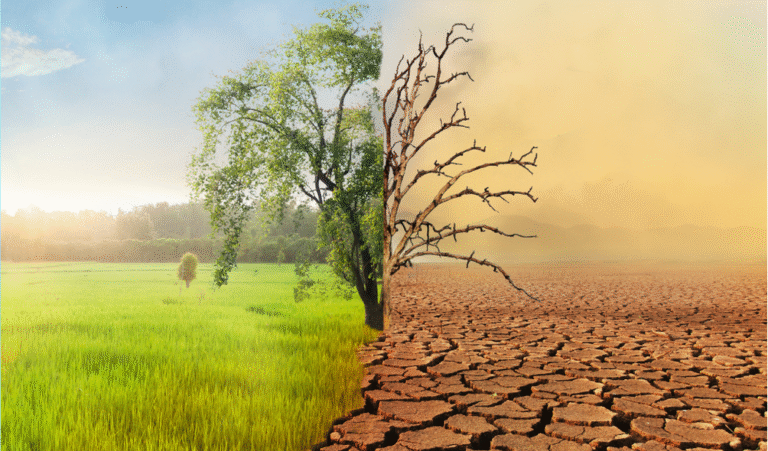 Climate Change in Multan: Understanding the Shorter Winters and Declining Rainfall
