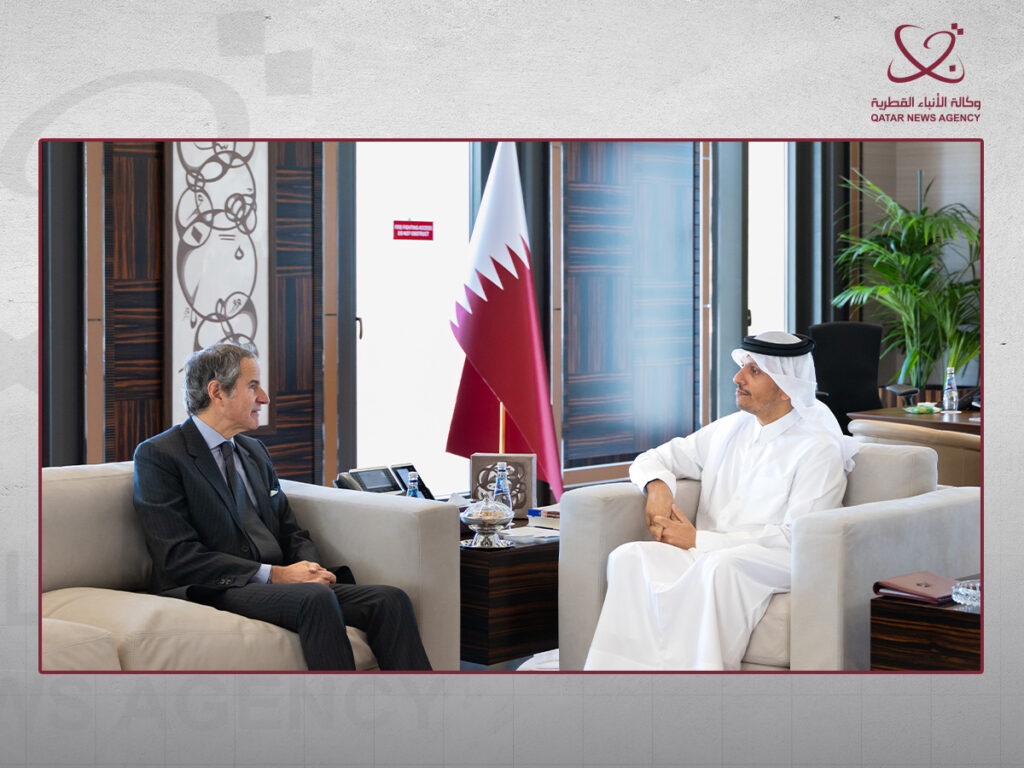 Prime Minister and Minister of Foreign Affairs Meets IAEA Director General