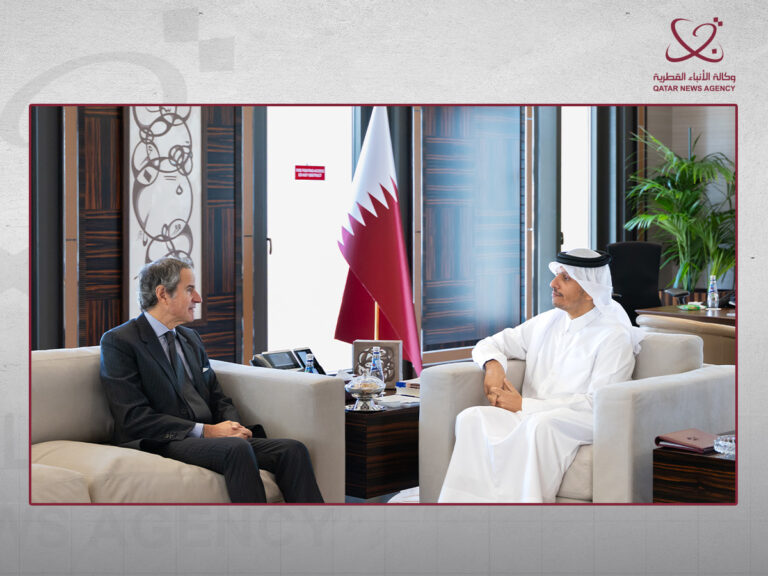 Prime Minister and Minister of Foreign Affairs Meets IAEA Director General