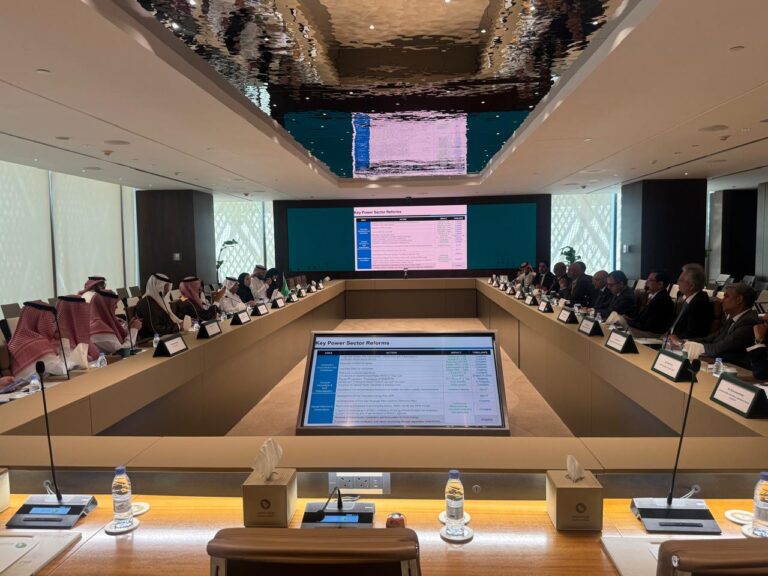 Pakistan, Saudi Arabia Review Energy Cooperation