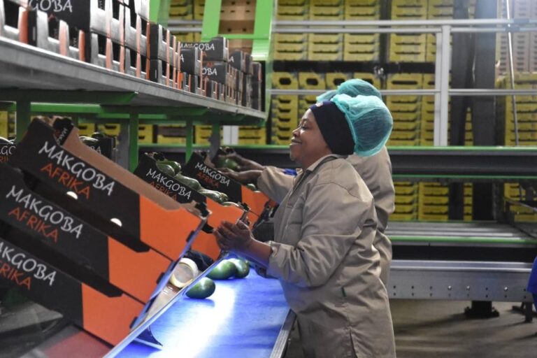 Senegalese Firms Eye Chinese Market Beyond Zero Tariffs