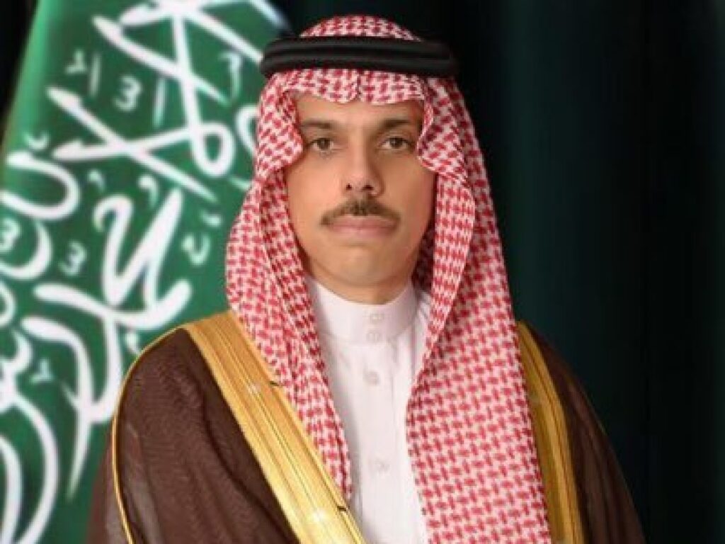 Saudi, Egyptian Foreign Ministers Discuss Regional Developments