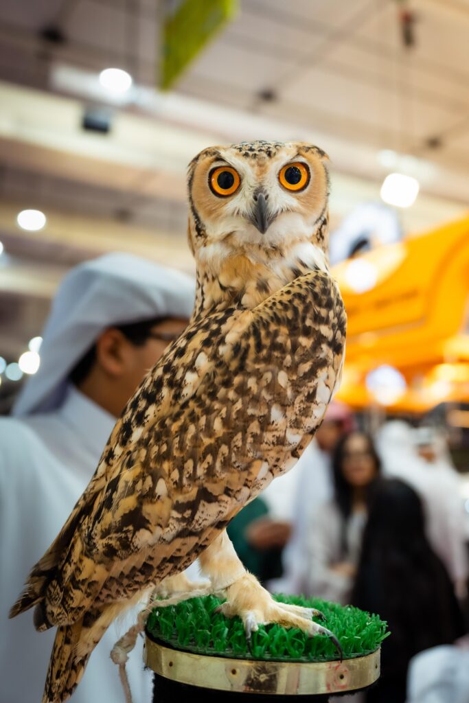 A Fitting Finale to the 10th Edition: Strong Public Turnout and International Presence Reflect the Exhibition’s Success