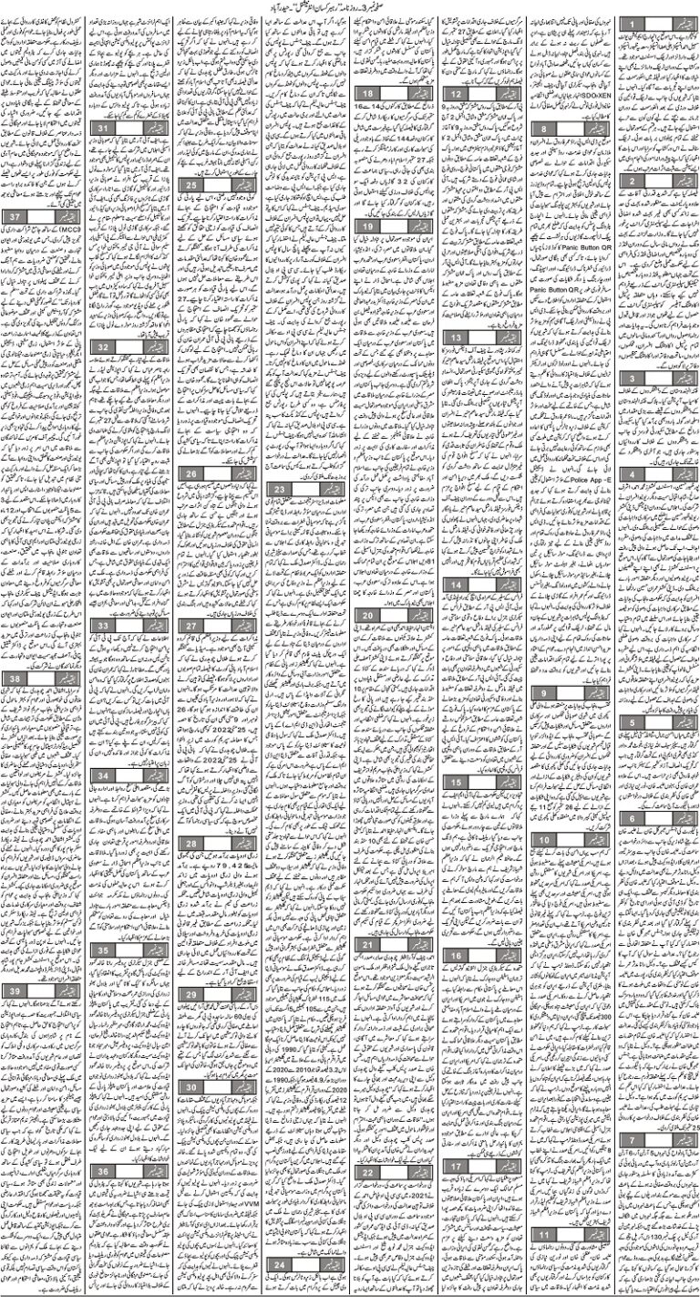 Page 3
