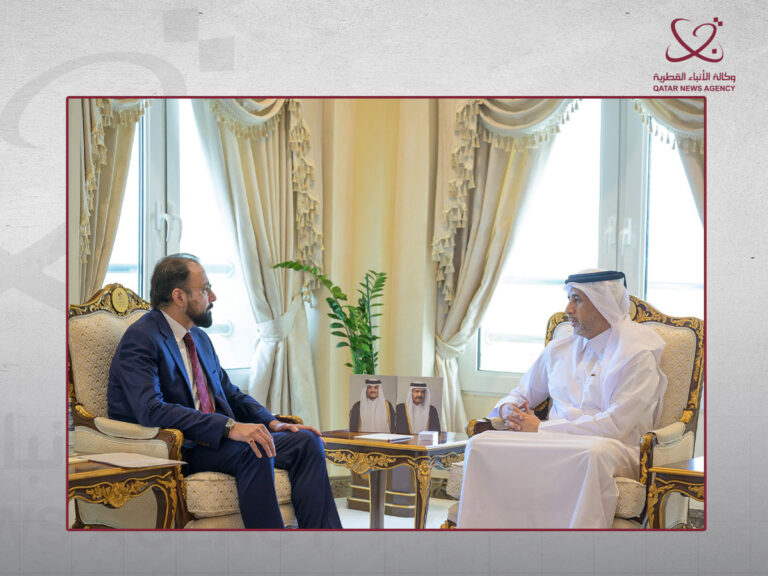 Minister of State for Interior Affairs Meets Minister for Overseas Pakistanis