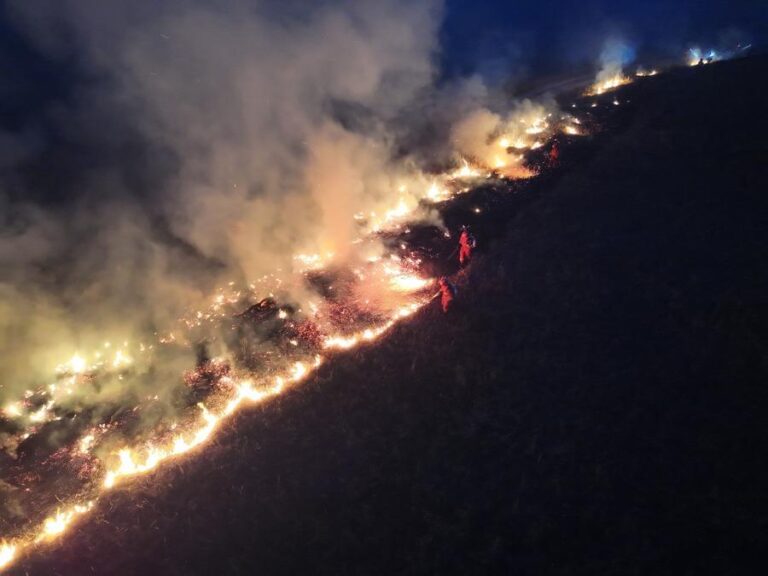 Mongolian Wildfire Sparks Criticism Over Corporate Accountability