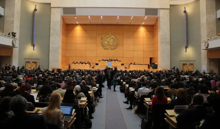 Seven Candidates Nominated for WHO Director-General Post