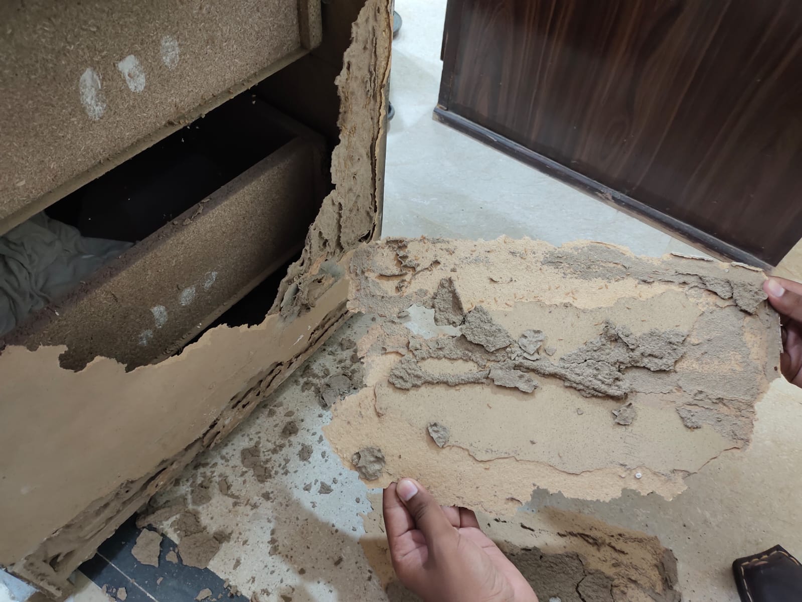 دیمک کی ماحولیاتی اہمیت اور کردار