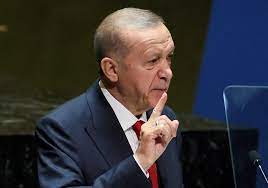 Erdogan: Recognition of Palestine at UNGA Could Advance Two-State Solution