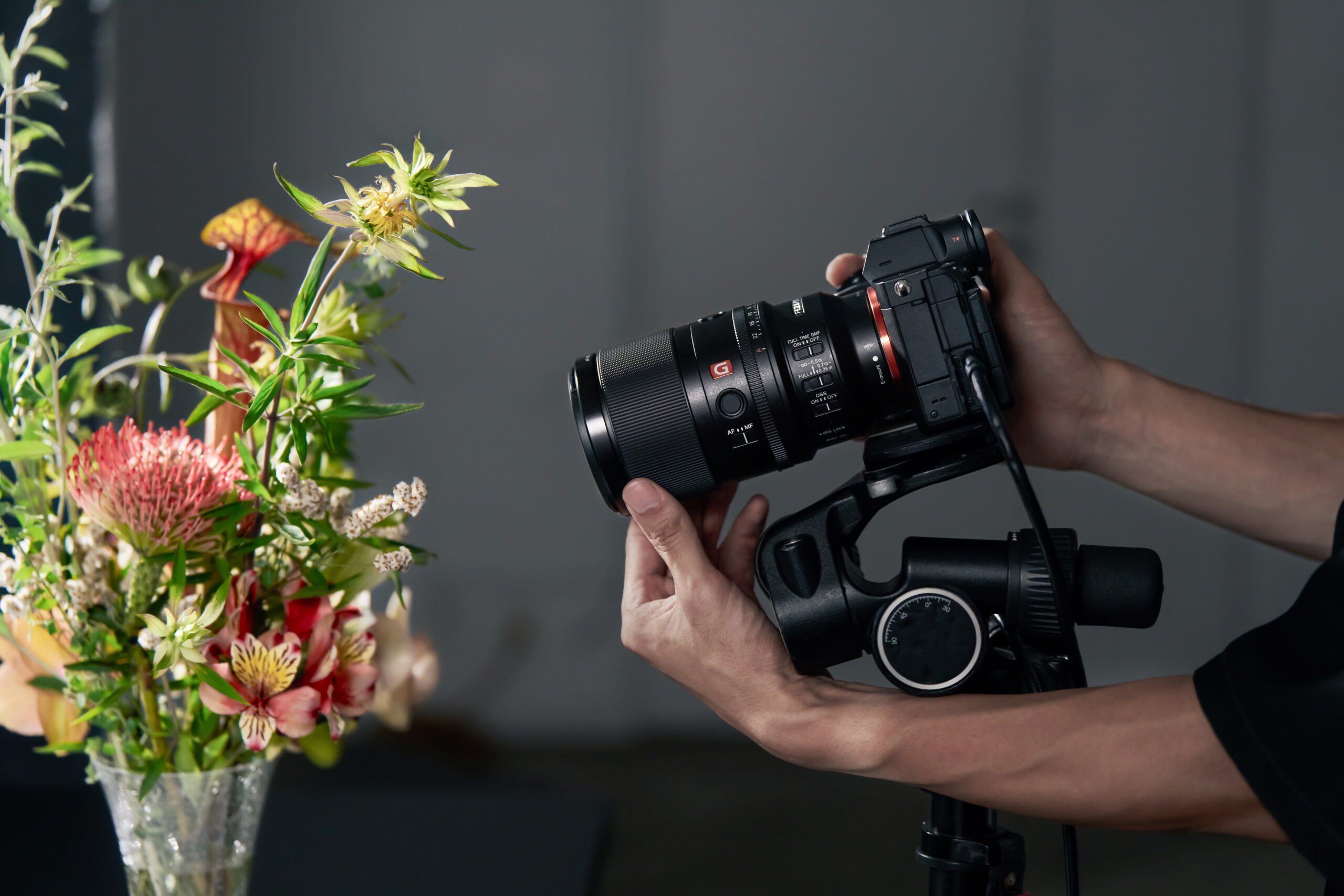 Sony Middle East and Africa and Modern Home Launch FE 100mm F2.8 Macro GM OSS in Qatar: First Medium Telephoto Macro Lens in the G Master™ Series