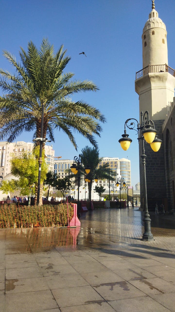 *گنبد خضرا کے سائے میں بدلتی ہوئی دنیا*