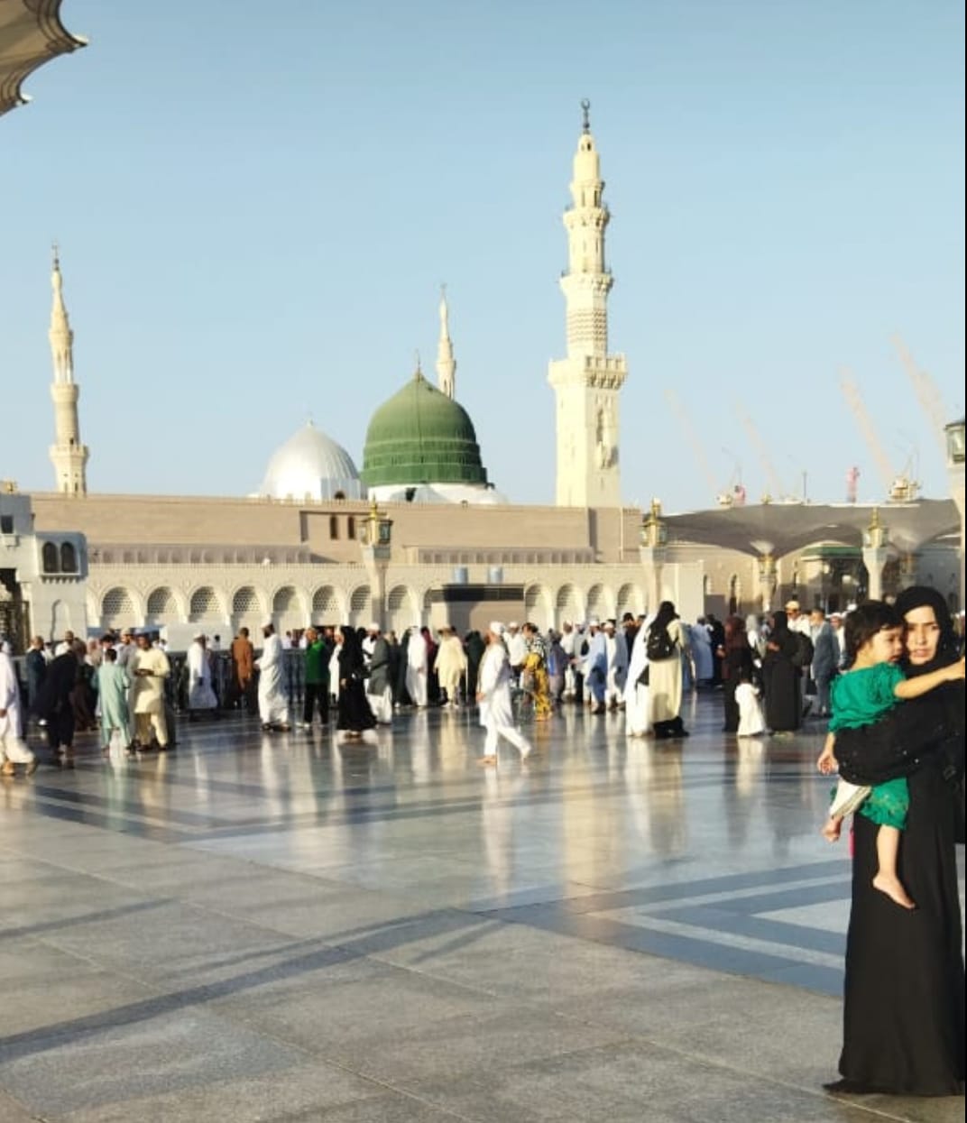 *گنبد خضرا کے سائے میں بدلتی ہوئی دنیا*