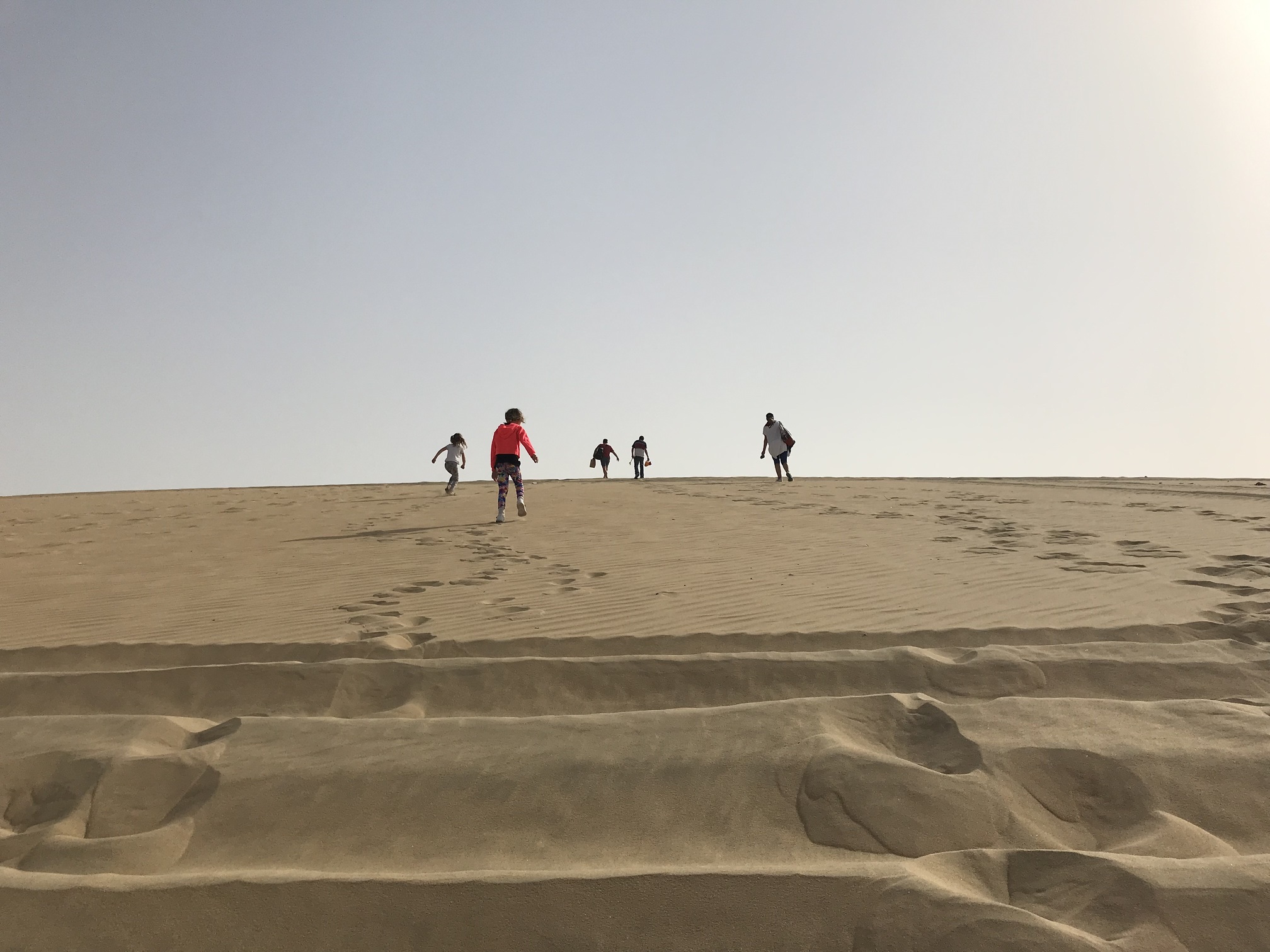 Years of Culture to Debut New Children’s Book at QIFF, Celebrating Qatar-USA Cultural Legacy and Qatar’s Natural Heritage