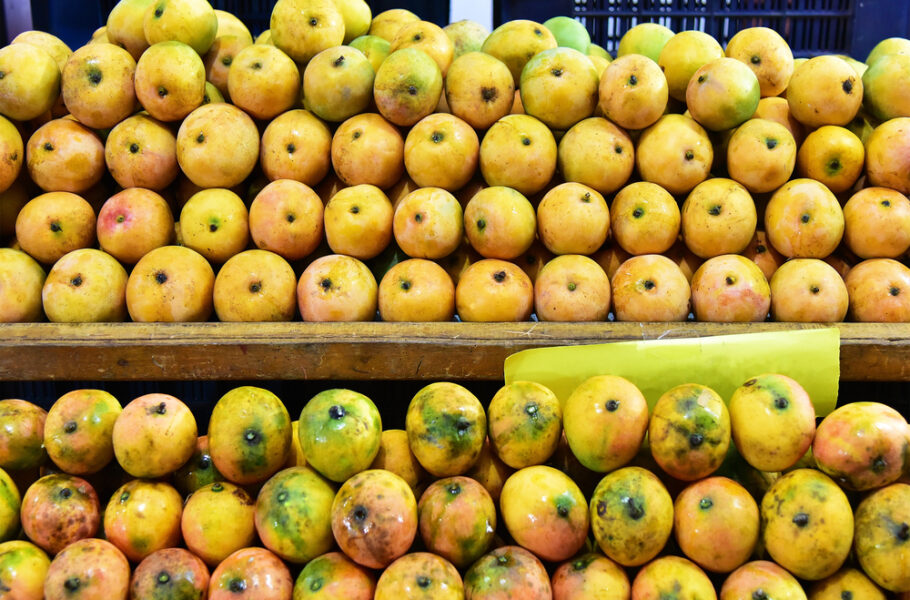 Pakistan Mango Exhibition Opens Today at Souq Waqif with Record Participation
